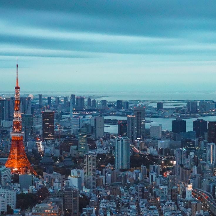 Sophie Meijer - Expat family life guide in Netherlands